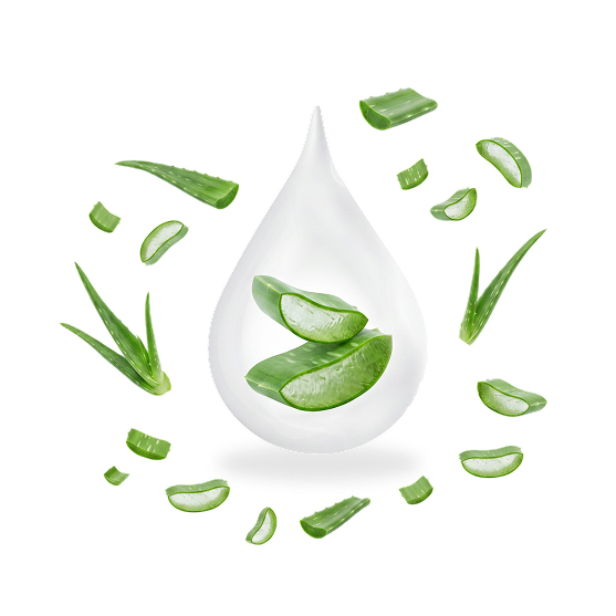aloe