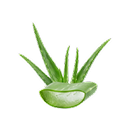 aloethumb