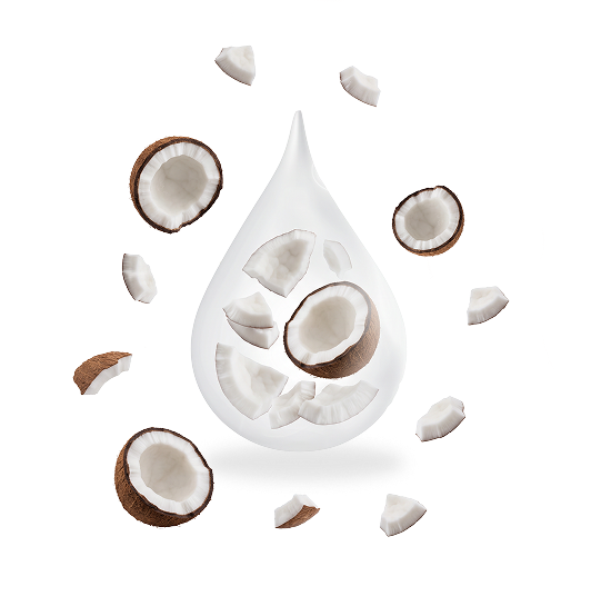 coconut