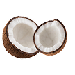 coconutthumb