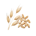oatmealthumb