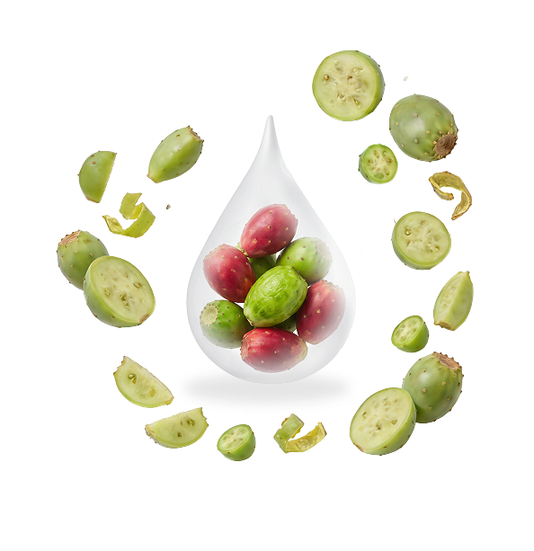 pricklypear